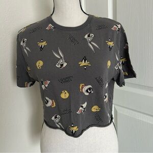 Gray Looney Tunes Graphic Tee/ Looney Tunes T-Shirt/ Size S/ Short/ 100%Cotton